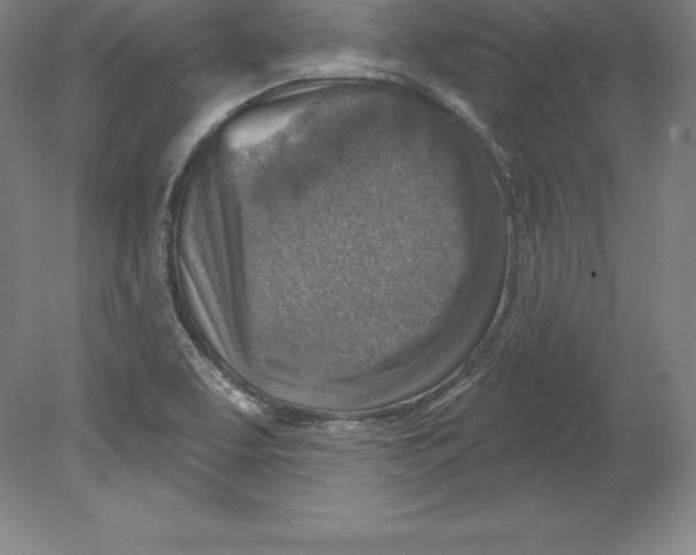 X0000079581463200612301354