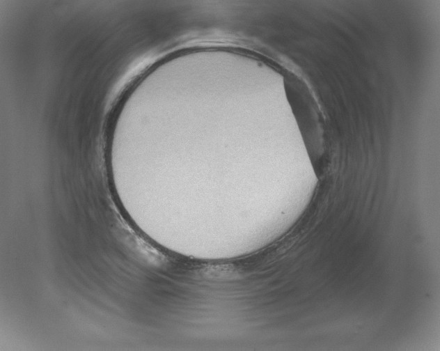 X0000079581464200612301354