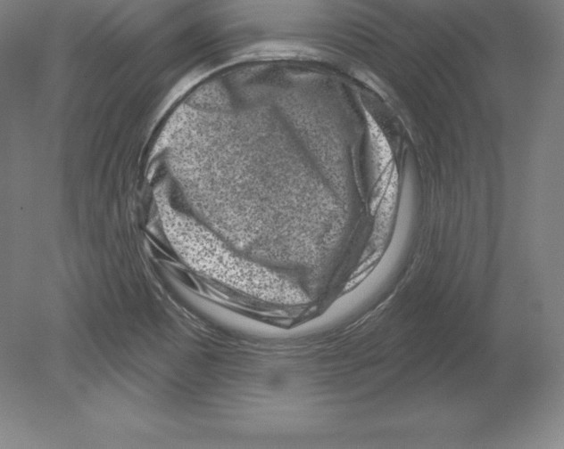 X0000079581465200612301354