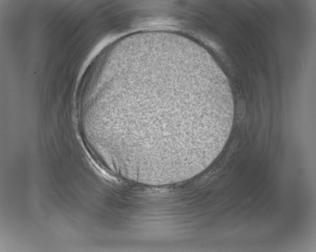 X0000079581470200612301354