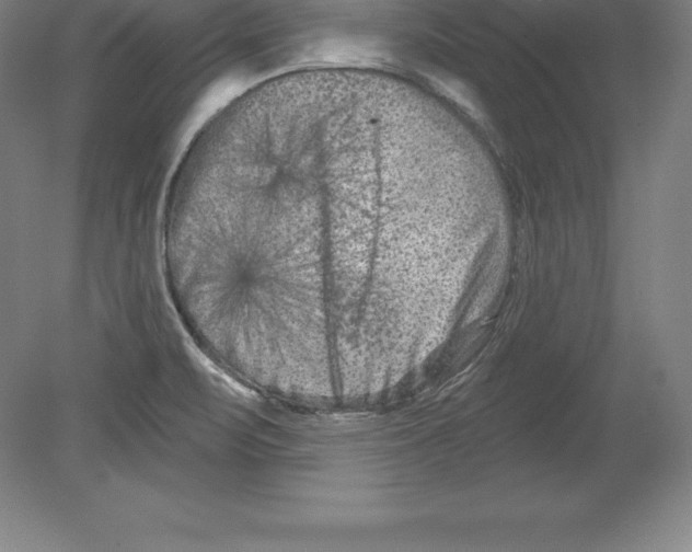 X0000079581471200612301354