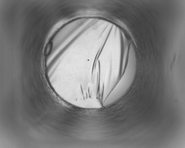 X0000079581472200612301354