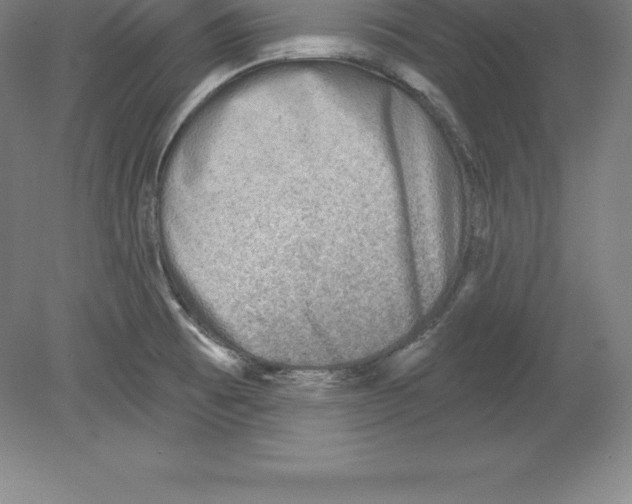 X0000079581473200612301354