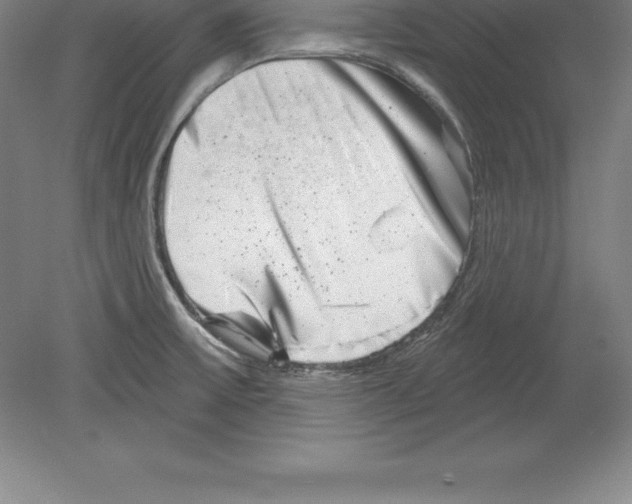 X0000079581475200612301354