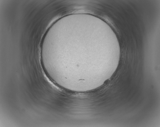 X0000079581476200612301354