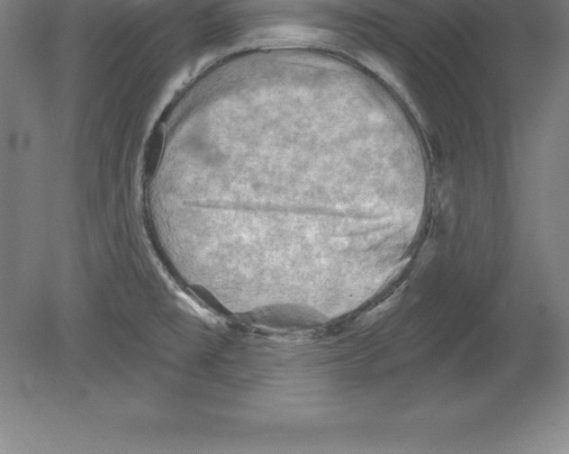 X0000079581477200612301354