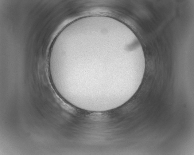 X0000079581478200612301354