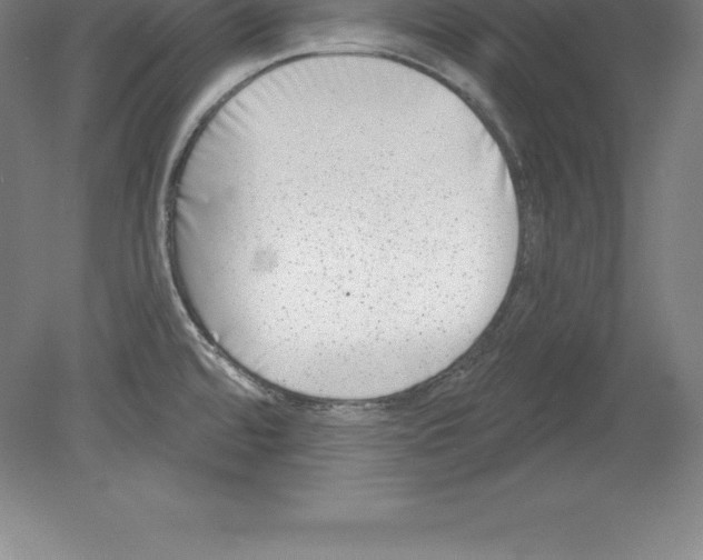 X0000079581480200612301354