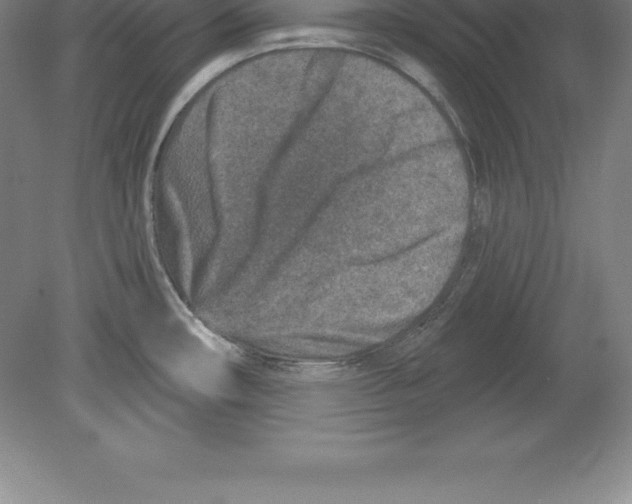 X0000079581482200612301354