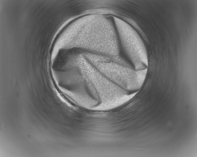 X0000079581484200612301354