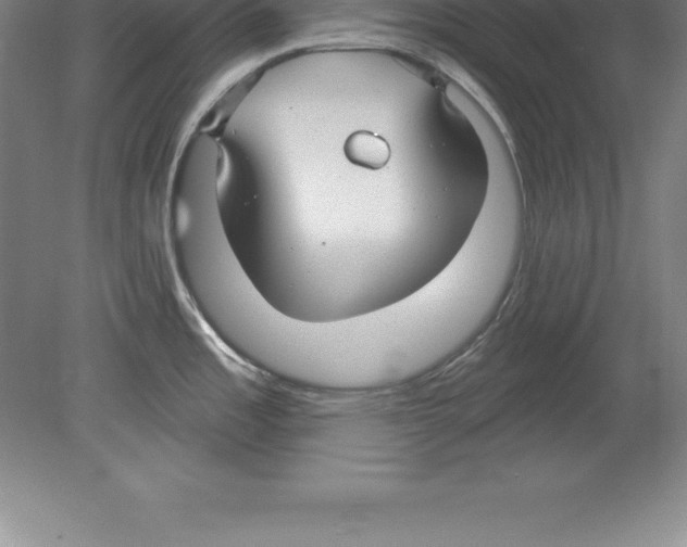 X0000079581485200612301354