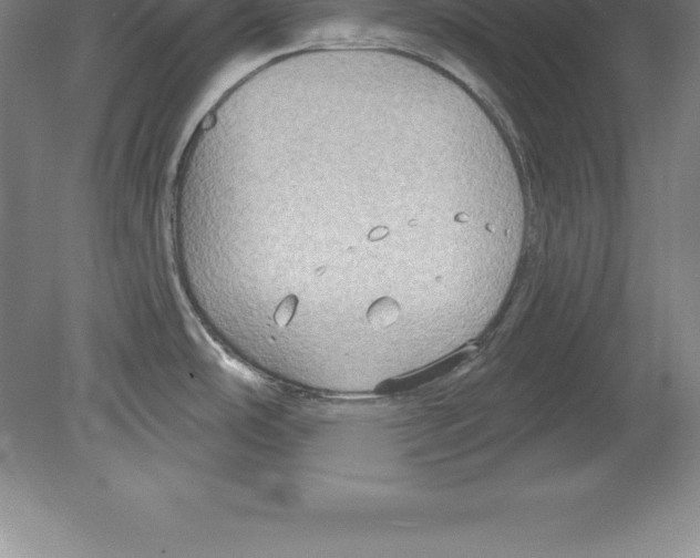 X0000079581486200612301354