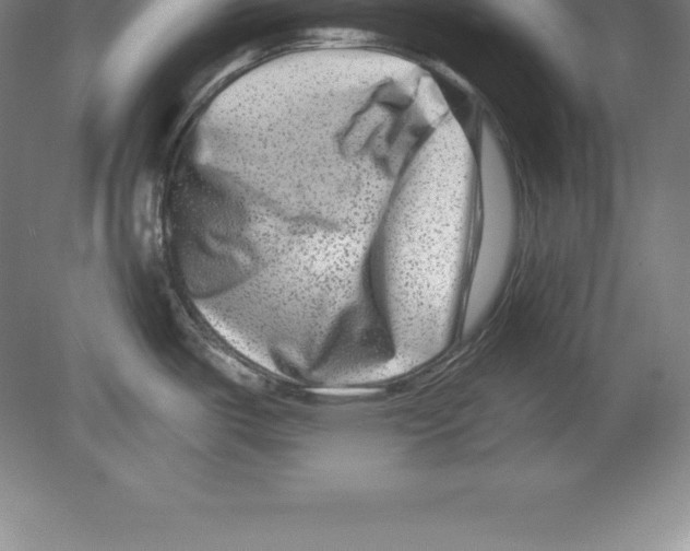 X0000079581487200612301354