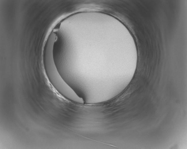 X0000079581488200612301354