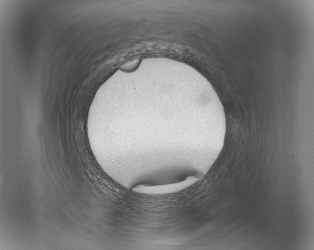 X0000079581489200612301353