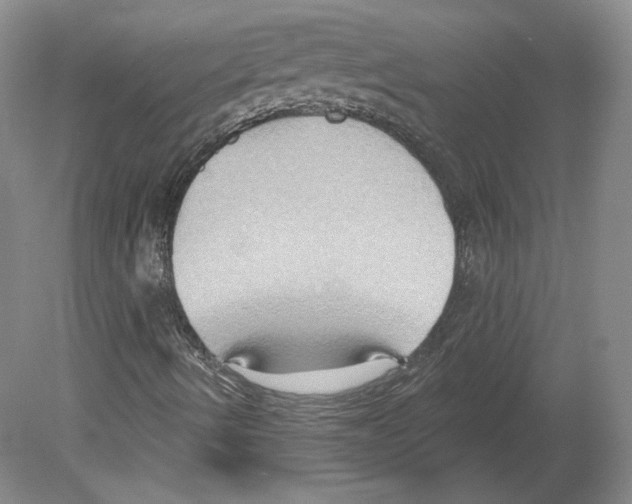 X0000079581490200612301353