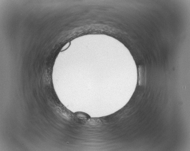 X0000079581491200612301353