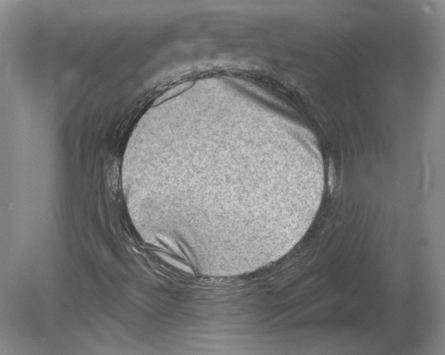 X0000079581492200612301353