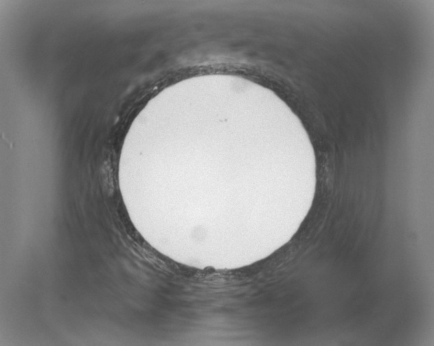 X0000079581493200612301353