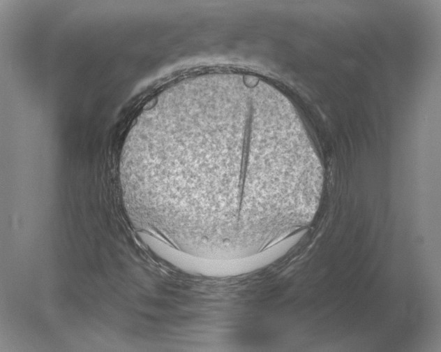 X0000079581494200612301353