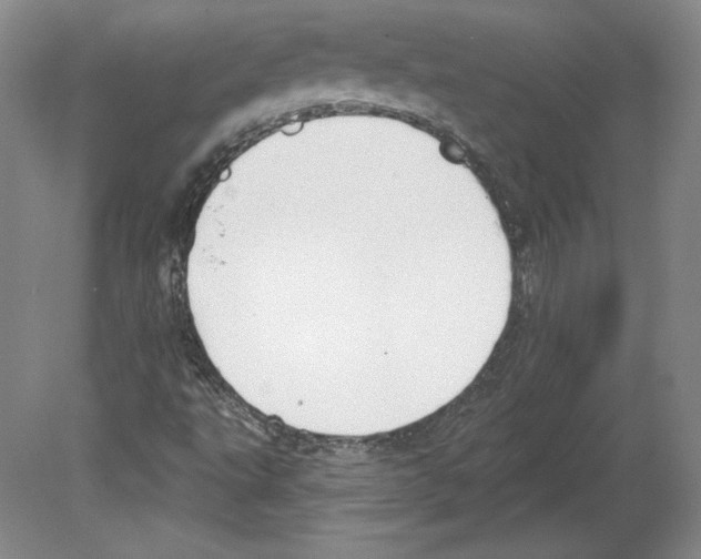 X0000079581495200612301353