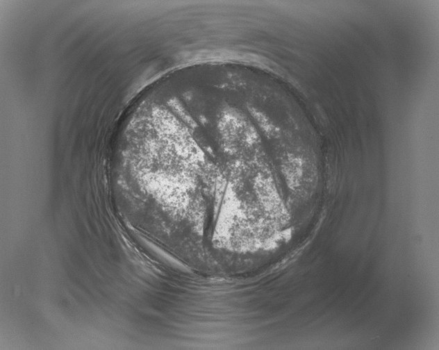 X0000079581497200612301353