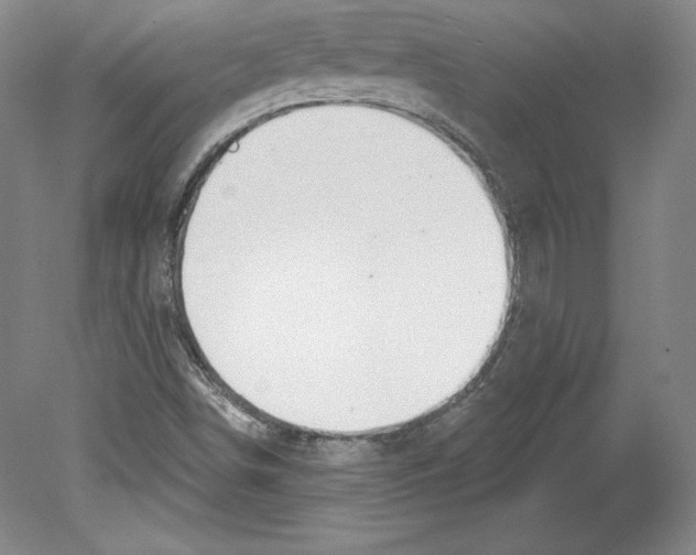 X0000079581498200612301353