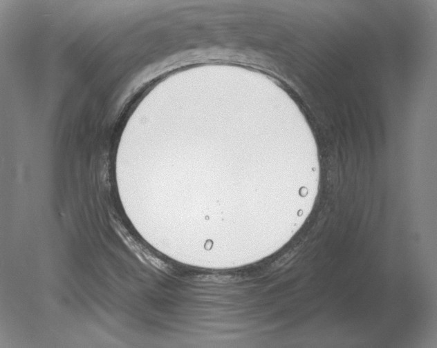 X0000079581499200612301353