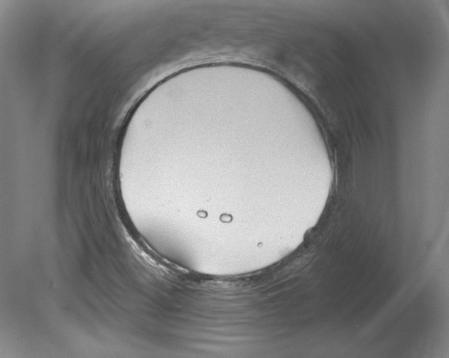 X0000079581500200612301353