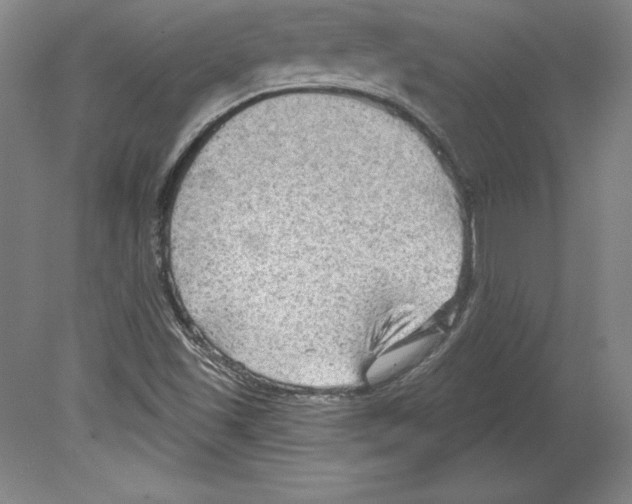 X0000079581501200612301353