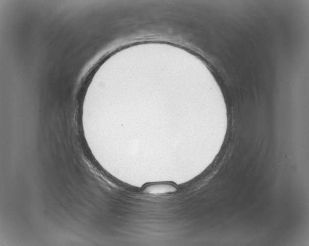 X0000079581502200612301353