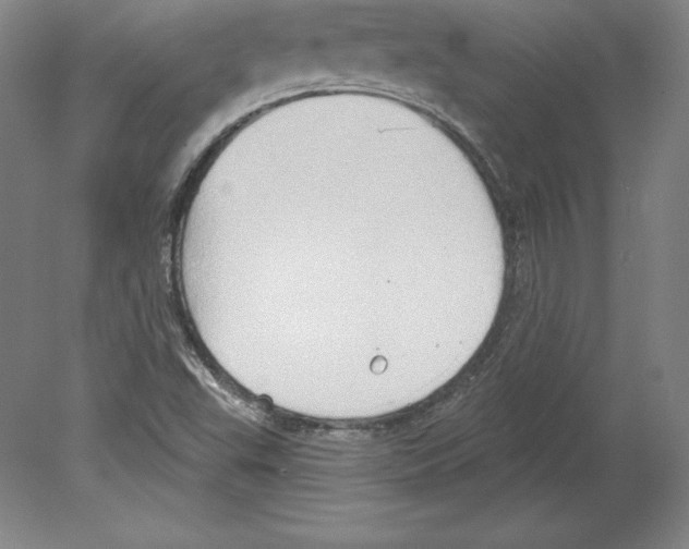 X0000079581503200612301353