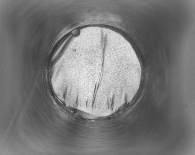 X0000079581505200612301353