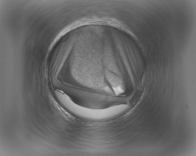 X0000079581506200612301353