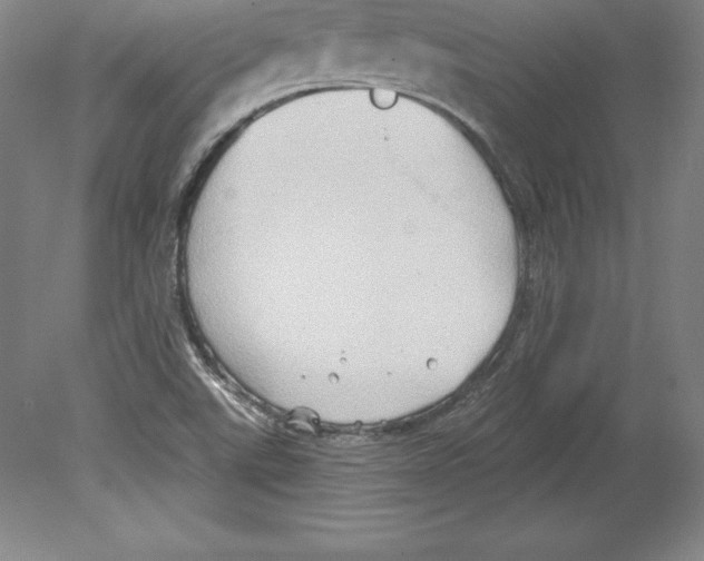 X0000079581507200612301353