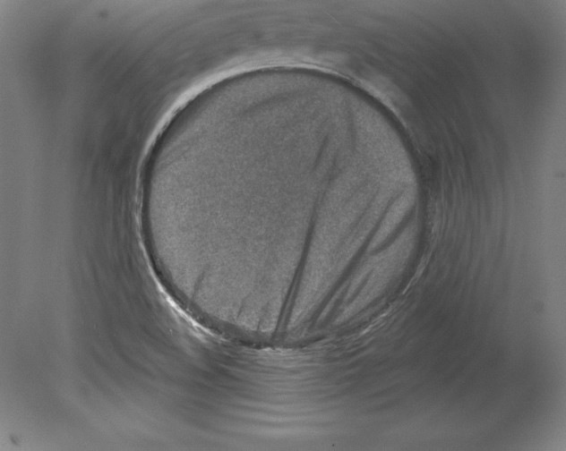 X0000079581508200612301353