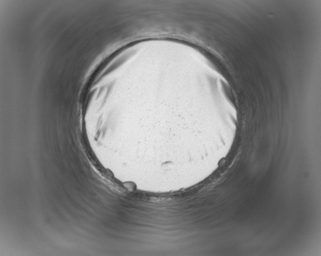 X0000079581509200612301353