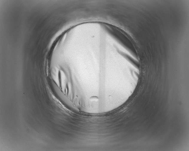 X0000079581510200612301353