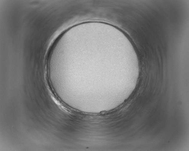 X0000079581511200612301353