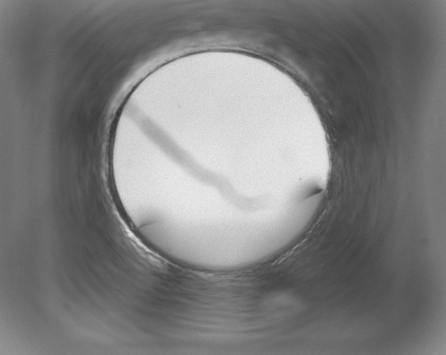 X0000079581512200612301353