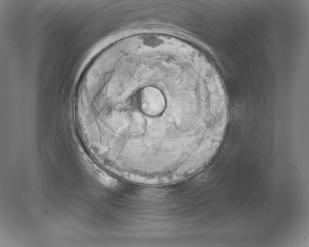 X0000079581514200612301353