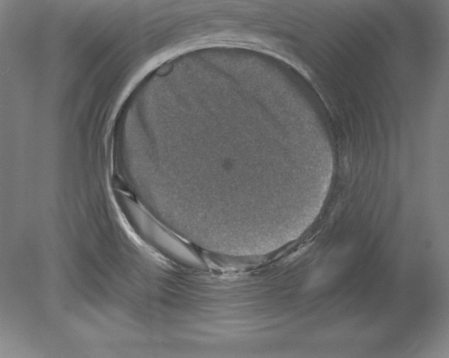 X0000079581515200612301353