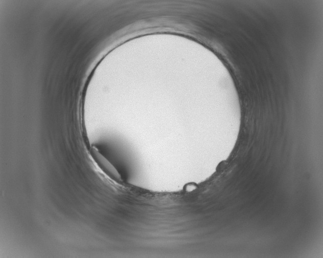 X0000079581516200612301353