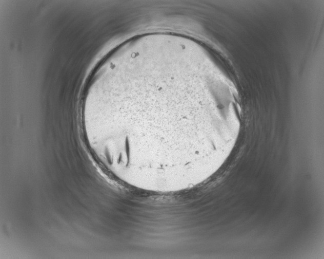 X0000079581517200612301353