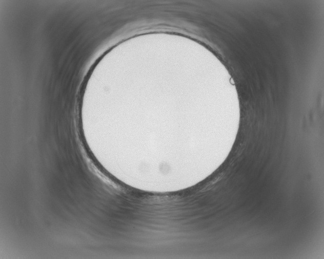 X0000079581518200612301353