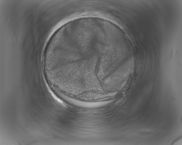 X0000079581519200612301353