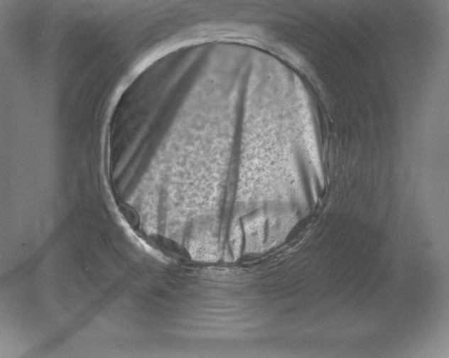 X0000079581520200612301353