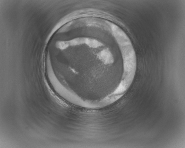 X0000079581522200612301353