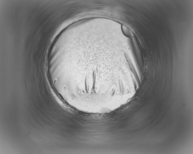 X0000079581523200612301353