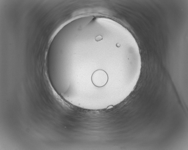 X0000079581524200612301353